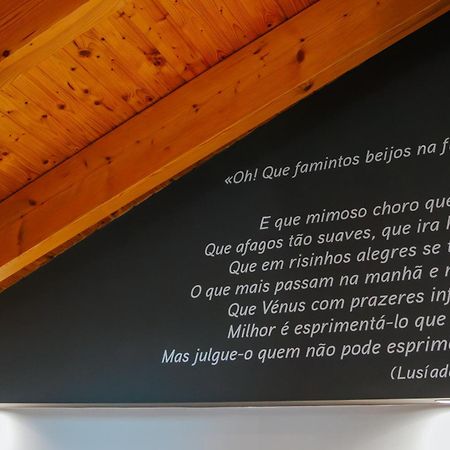 Casa Luis De Camoes - Boutique & Literary House ξενώνας Santar Εξωτερικό φωτογραφία